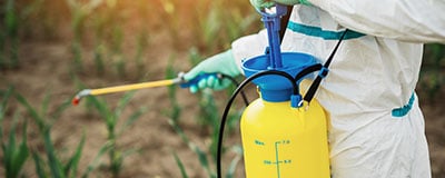 Insecticides