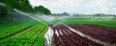 Watering and irrigation systems