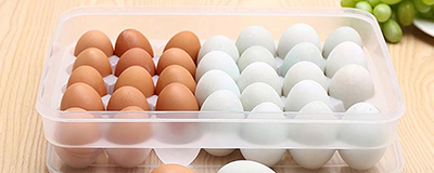 Egg Holder