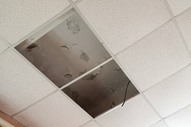 Ceiling Slabs