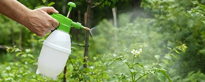 Insecticides