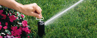 Sprinklers