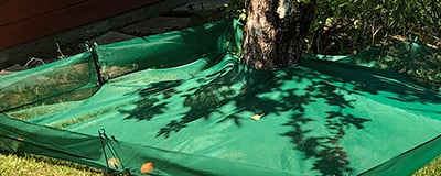 Olive Haarvesting Nets
