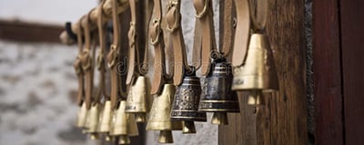 Livestock Accessories