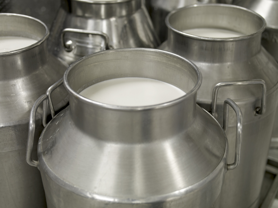 Dairy Storage Cans