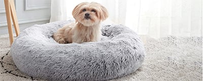 Pet Beds
