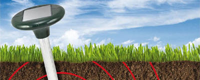 Insecticides and Rat Repellents