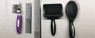 Combs and Brushes