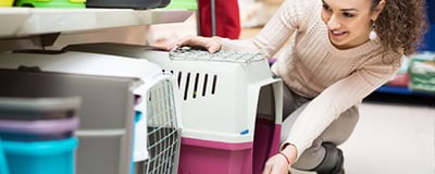 Pet Care