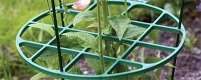 Plant Support Accessories