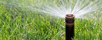 Watering System Accessories