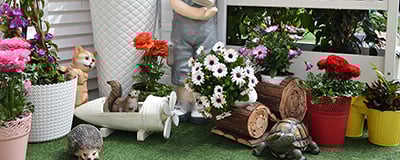 Outdoor Decoration