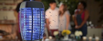 Insect killers