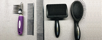 Brushes and Combs