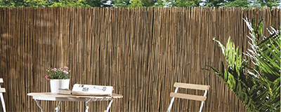 Bamboo Fences