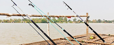 Fishing Rods and reels