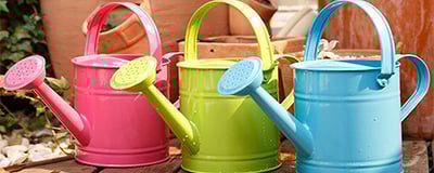 Watering Cans