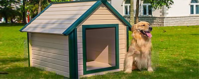 Wooden Dog Kennels