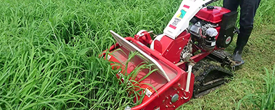Riding Lawn Mower