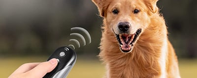Ultrasonic Animal Repellent