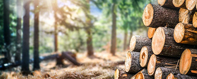 Wood