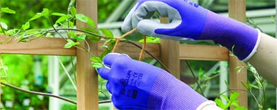 Plant Ties