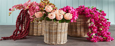 Artificial Plants and Flowers