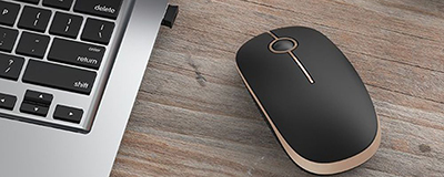 Mouse