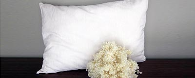 Decorative Cushion Fillers