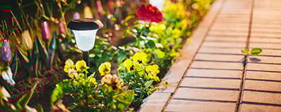 Plant and Flower Lights