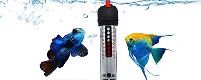 Aquarium Heaters