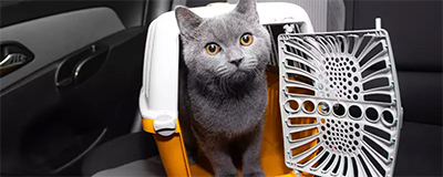 Pet Transporting Products
