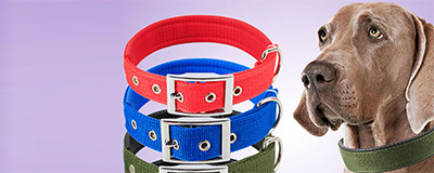 Dog Collars