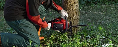 Garden Saws
