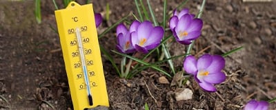 Garden Thermometers