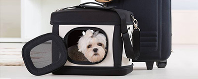 Pet Carriers