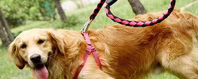 Ropes and Chains