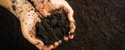 Substrates, Inert and Clay