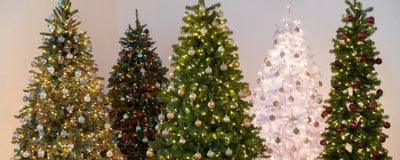 Christmas Trees