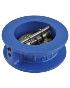 CHECK VALVE DI DISC 2"