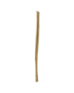 Stick for plants 5pcs, bamboo, 8-10 mm, 60 cm