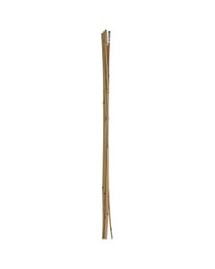 Stick for plants 5pcs, bamboo, 10-12 mm, 90 cm