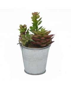 Artificial flower, plastic material