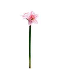 Artificial flower, plastic+cloth, white, H63 cm