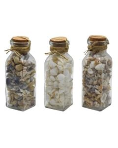 Shells in bottle, natural matter, colorful, 6x6xH19 cm