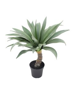 Artificial flower, in pot, Yucca, plastic, green, 71 cm