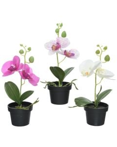 Artificial flower, orchid, in pot, plastic, assorted, 10x13xH25 cm