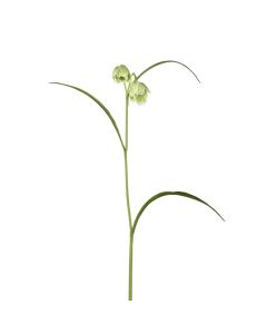 Artificil flower, plastic, green, 40 cm