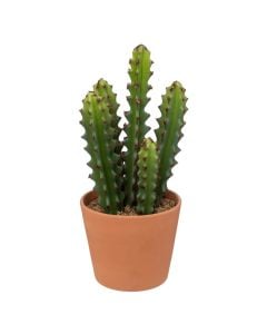 Artificial flower, Cactus, in ceramic vase, green/terracotta, Ø12xH25 cm