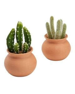 Artificial flower, Cactus, in ceramic vase, green/terracotta, Ø17xH16.5 cm